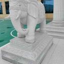 黄山 白麻花岗岩动物异形石雕-大象