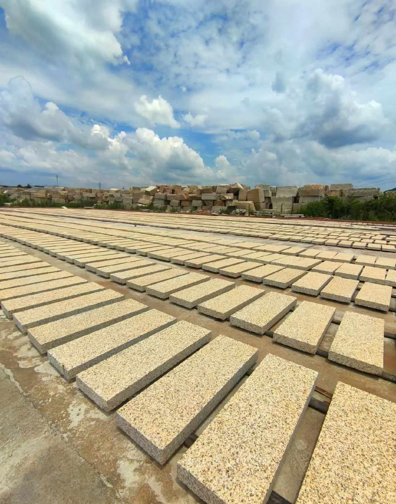黄山 黄金麻荔枝面花岗岩石材地铺石防护中