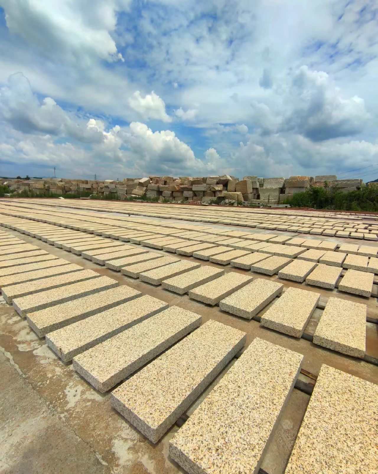 黄山 黄金麻花岗岩荔枝面地铺石防护中