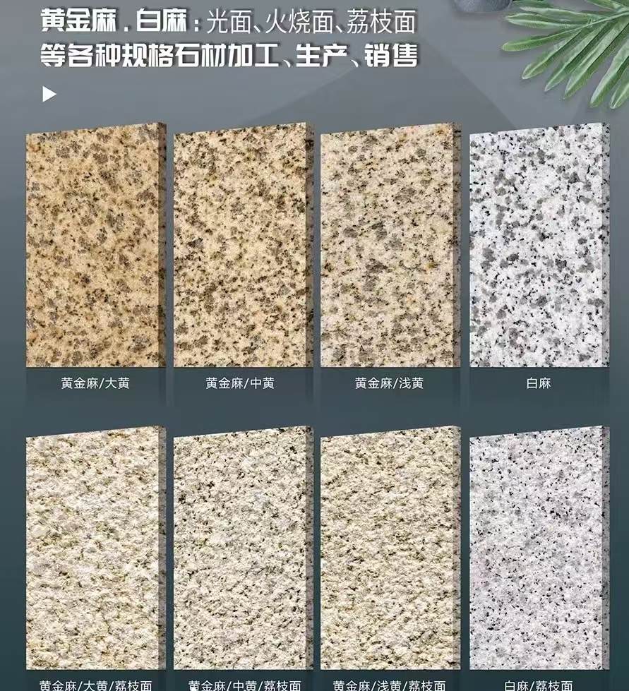 黄山 黄金麻白麻样品展示